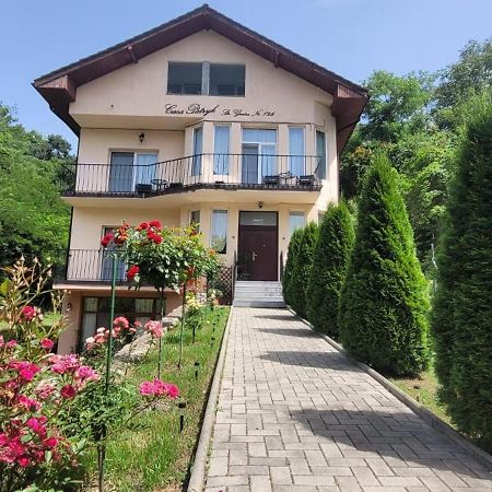Orşova Casa Patryk酒店 外观 照片