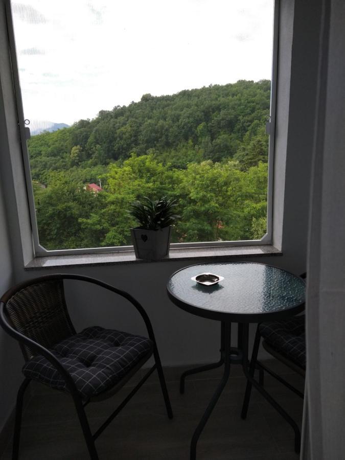 Orşova Casa Patryk酒店 外观 照片
