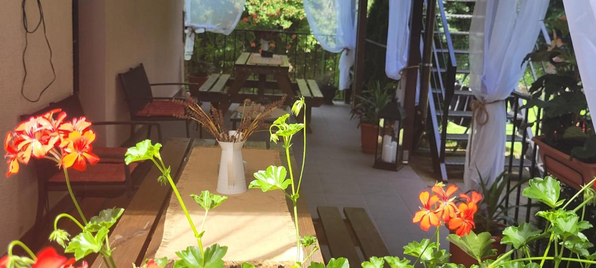 Orşova Casa Patryk酒店 外观 照片